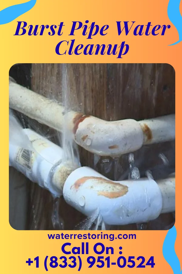 Burst Pipe Water Cleanup in Farmville, VA