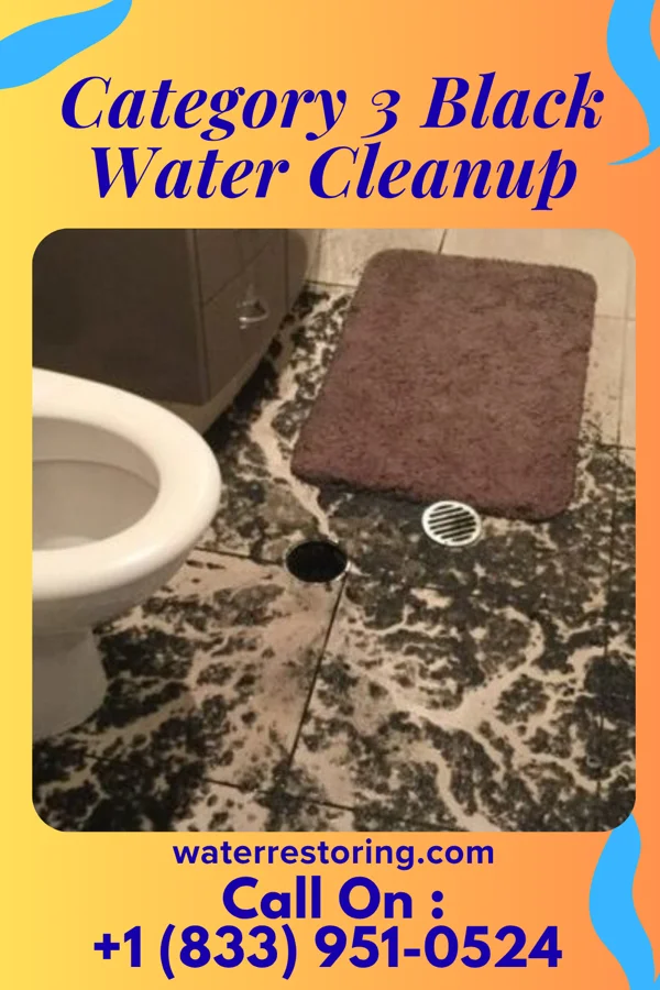 Category 3 Black Water Cleanup in Farmville, VA