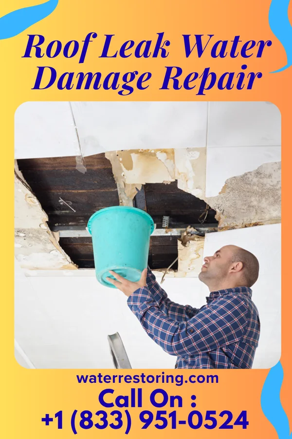 Roof Leak Water Damage Repair in Farmville, VA