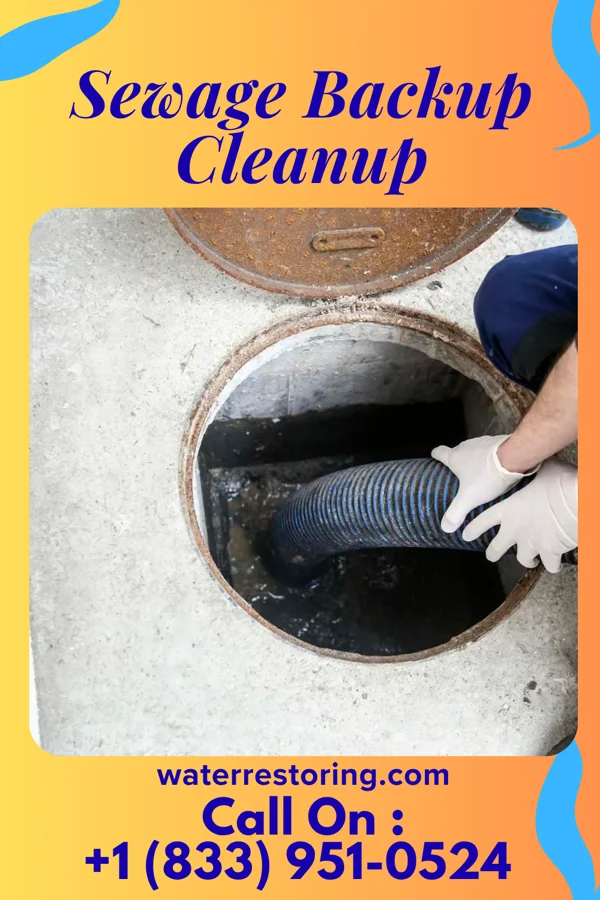 Sewage Backup Cleanup in Farmville, VA