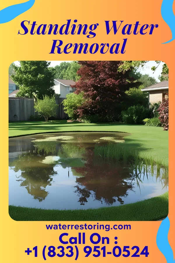 Standing Water Removal in Farmville, VA